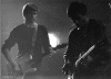 live_nb_14.gif (19416 octets)